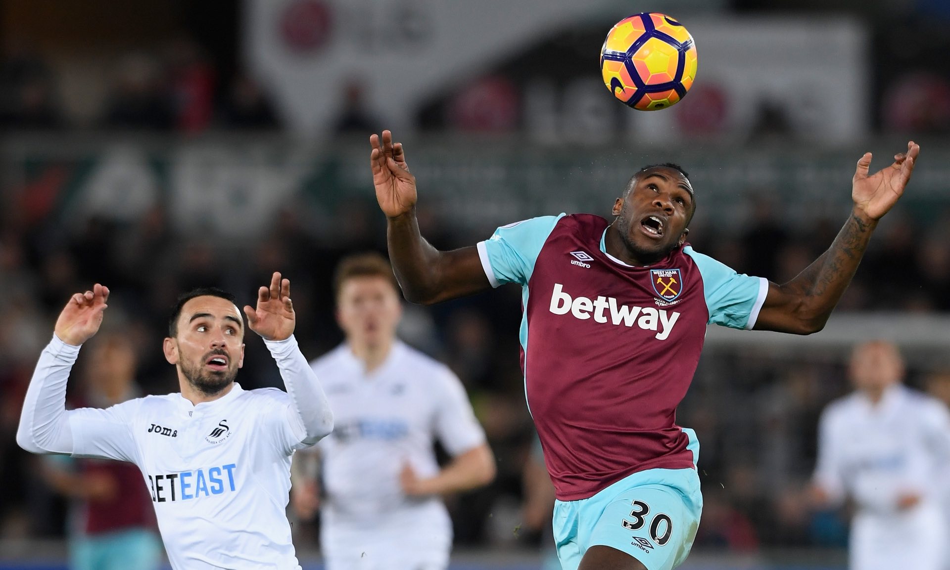 特福德的多 特福德的多